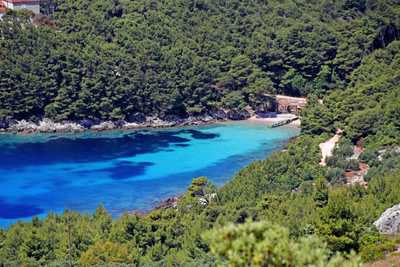 Apartments By The Sea Luka Dubrava, Peljesac - 4568 Janjina Bagian luar foto